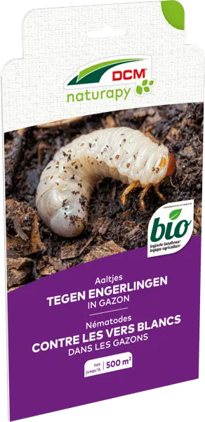 DCM Heteri-Guard 500m² Aaltjes tegen engerlingen in gazon 