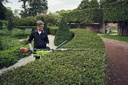 Husqvarna 525 iHF3 Accu Stokheggenschaar