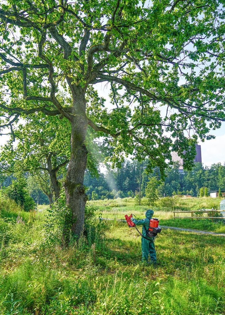 Birchmeier AS 1200 AC1 Accu-spuitcompressor (CAS met accu-pack, met lader)