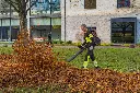 iy-768110.webp
