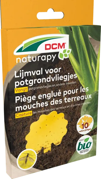 DCM Lijmval potgrondvliegjes