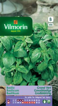 Basilicum Grootbladige