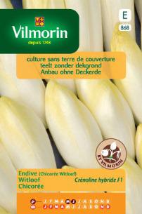 Witloof Crenoline HF1