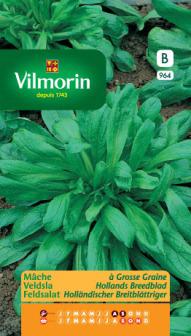 Veldsla Hollands Breedblad