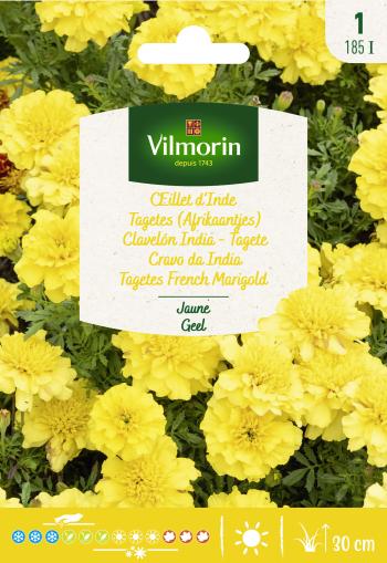 Tagetes (Afrikaantjes) Citroen Globe