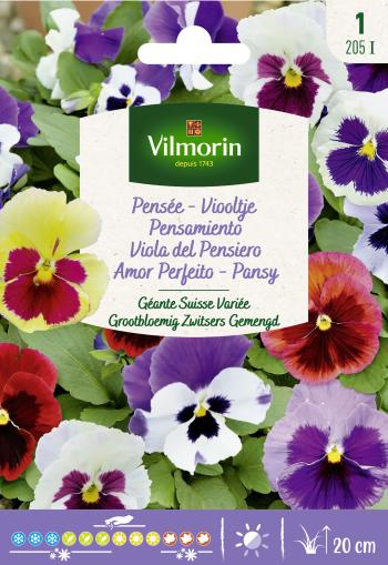 Viooltje Zwitserse Reuzen Gemengd 