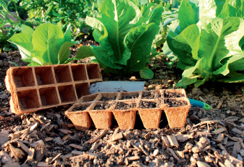 Platen potjes van kokosvezel