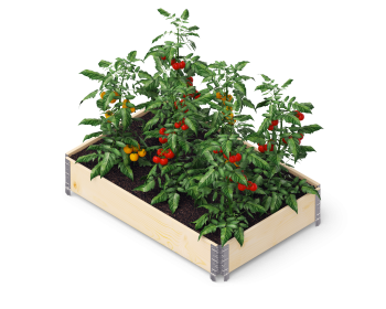 Moestuinbak gardenbox eco