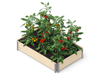 Moestuinbak gardenbox eco