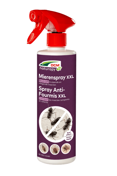 DCM Mierenspray XXL - spray tegen mieren 500ml