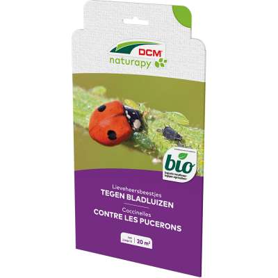 [1003164] DCM Adali-Guard® Lieveheersbeestjes tegen bladluizen in de sier- en moestuin