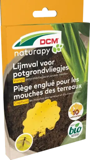 [1007086] DCM Lijmval potgrondvliegjes