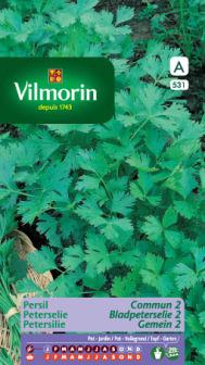 [531] Peterselie Bladpeterselie 2