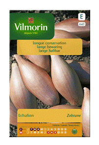 [643] Echalion Zebrune