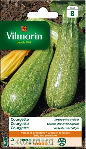 [723] Courgette Groene Kleine Van Algerije
