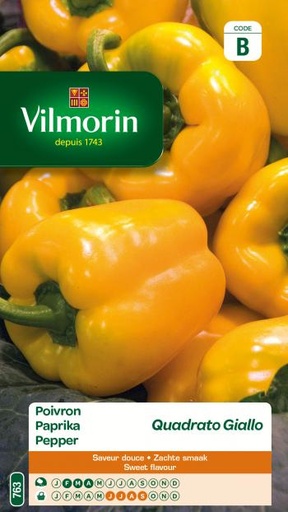 [763] Paprika Quadrato Giallo