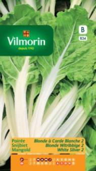 [834] Snijbiet (Warmoes) Blonde witribbige 2