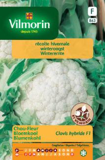 [863] Winterbloemkool Clovis HF1