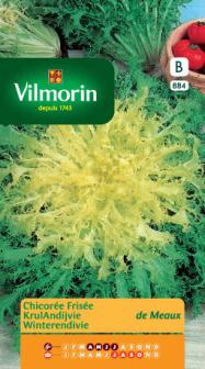 [884] Krulandijvie Meaux