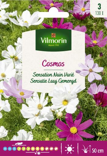 [130I] Cosmos Sensatie Laag Gemengd