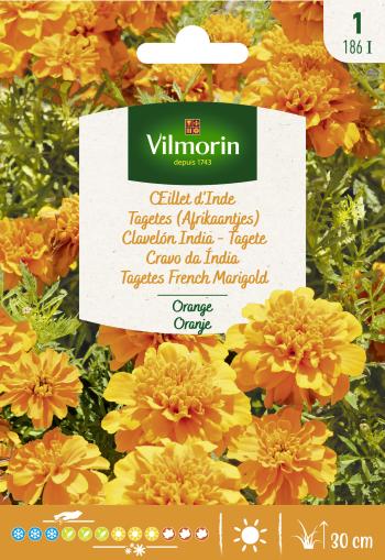 [186I] Tagetes (Afrikaantjes) Oranje Globe 
