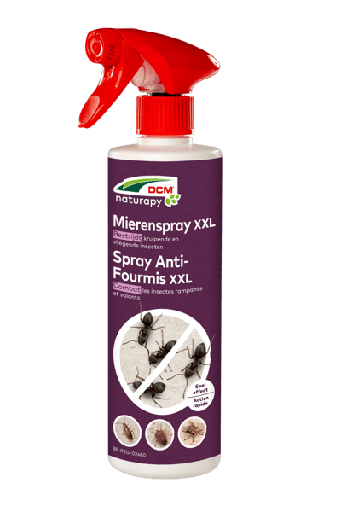 [1007143] DCM Mierenspray XXL - spray tegen mieren 500ml