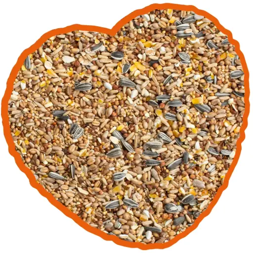 [Winter strooivoer 4kg] Duvo winterstrooivoer A 4kg - Wintermix voor tuinvogels 