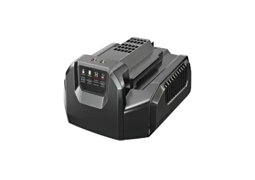 [CH2100E] EGO STANDAARD ACCULADER